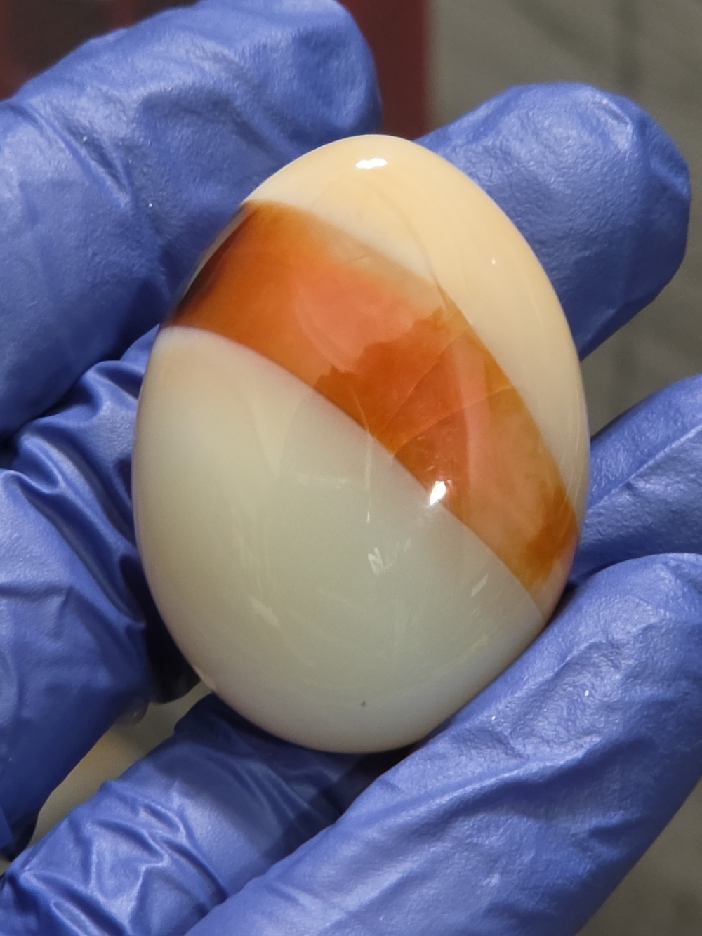 Carnilian Palm  Stone 26g